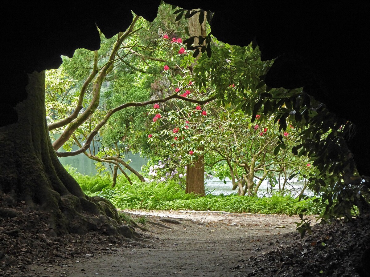View from the tunnel